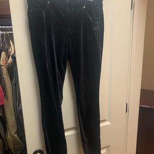 Loft velvet jeans